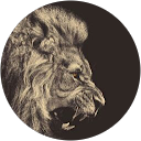 halil B. profile picture